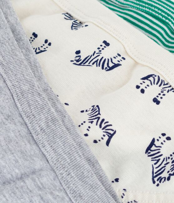 Lot de slips enfant en coton imprimé zèbres variante 1