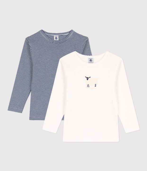 Lot de 2 tee-shirts manches longues milleraies petit gar&ccedil;on en coton multicouleur