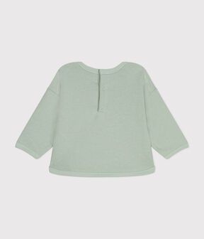 vert HERBIER