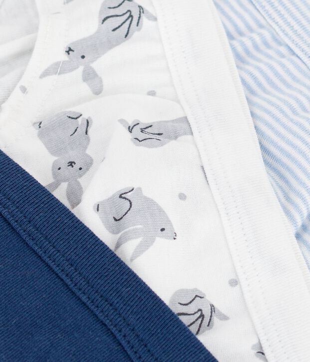 Lot de 3 slips en coton multicouleur