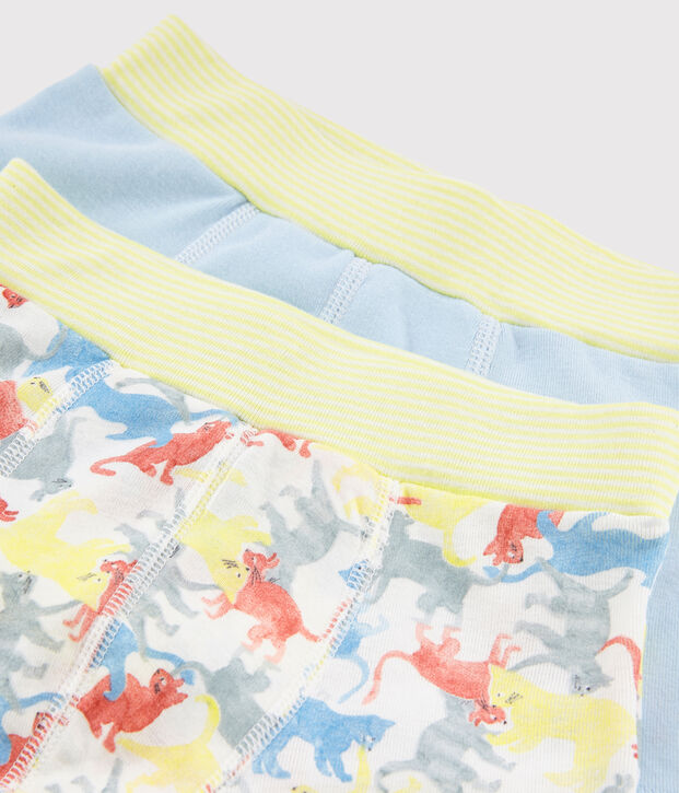 Lot de 2 boxers imprim&eacute; chats petit gar&ccedil;on en coton biologique multicouleur