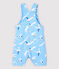 Salopette courte en serge craquante bébé garçon bleu JASMIN/blanc MULTICO