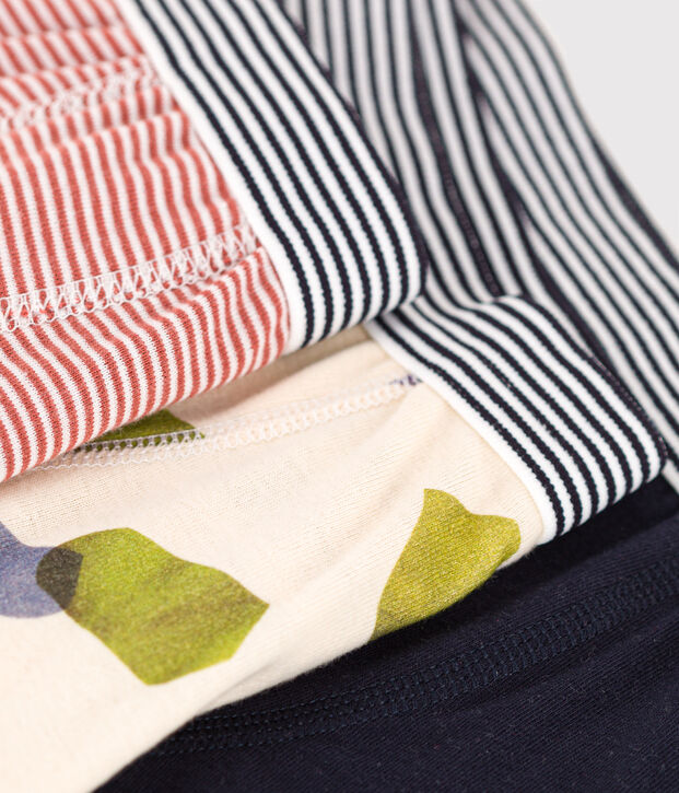 Lot de 3 boxers en coton enfant multicouleur