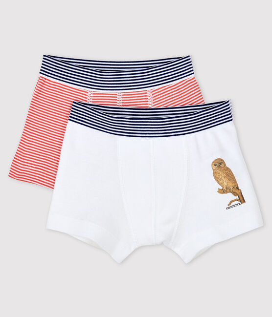 Lot De 2 Boxers Petit Garcon Petit Bateau X Deyrolle Petit Bateau