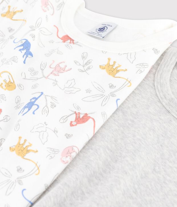 Lot de 2 t-shirts manches courtes petit gar&ccedil;on en coton biologique multicouleur