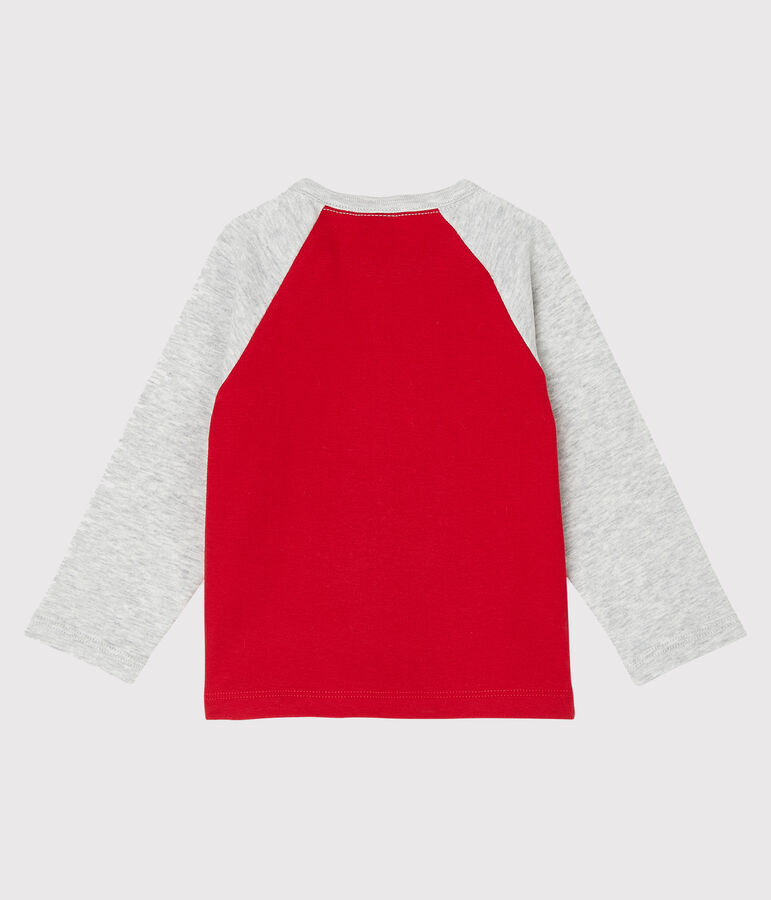 Tee shirt manches longues b&eacute;b&eacute; gar&ccedil;on rouge/gris