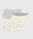 Lot de boxers enfant en coton ceinture recouverte imprimé léopard