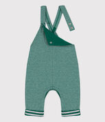 EVERGREEN/ FUMEE
