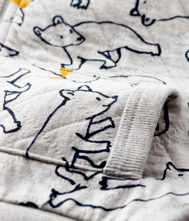 Sweatshirt &agrave; capuche b&eacute;b&eacute; gar&ccedil;on gris/multicouleur