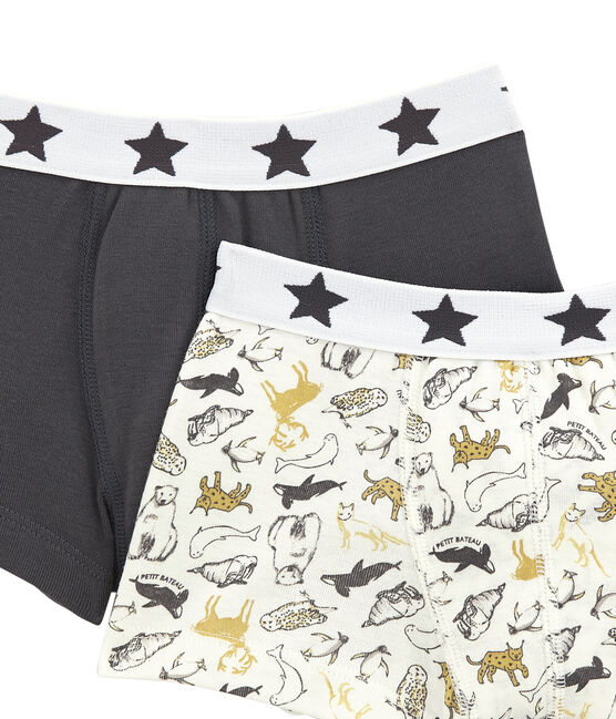 Duo de boxers petit garçon variante 1