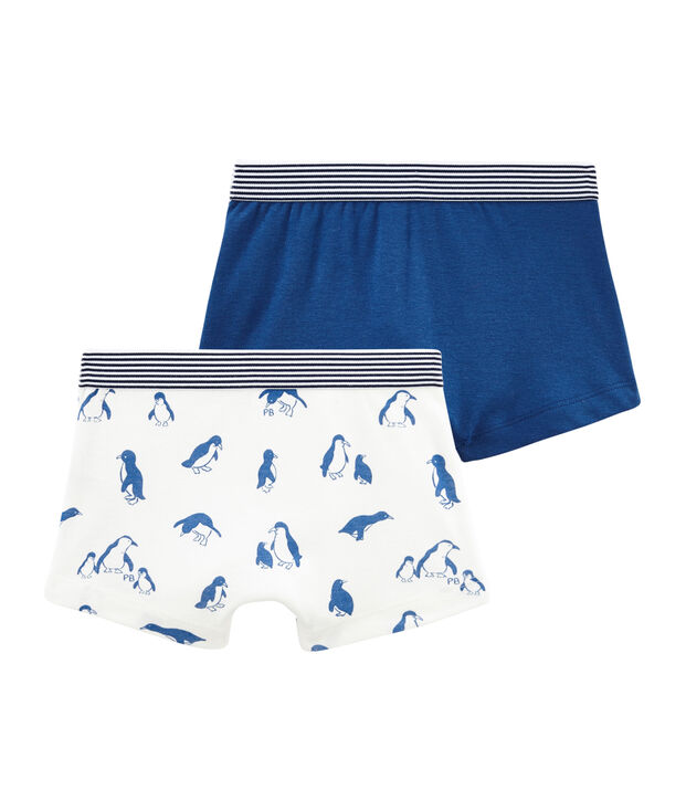 Duo de boxers petit gar&ccedil;on multicouleur