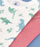 Lot de 3 tee-shirts enfant en coton manches courtes dinosaures variante 1