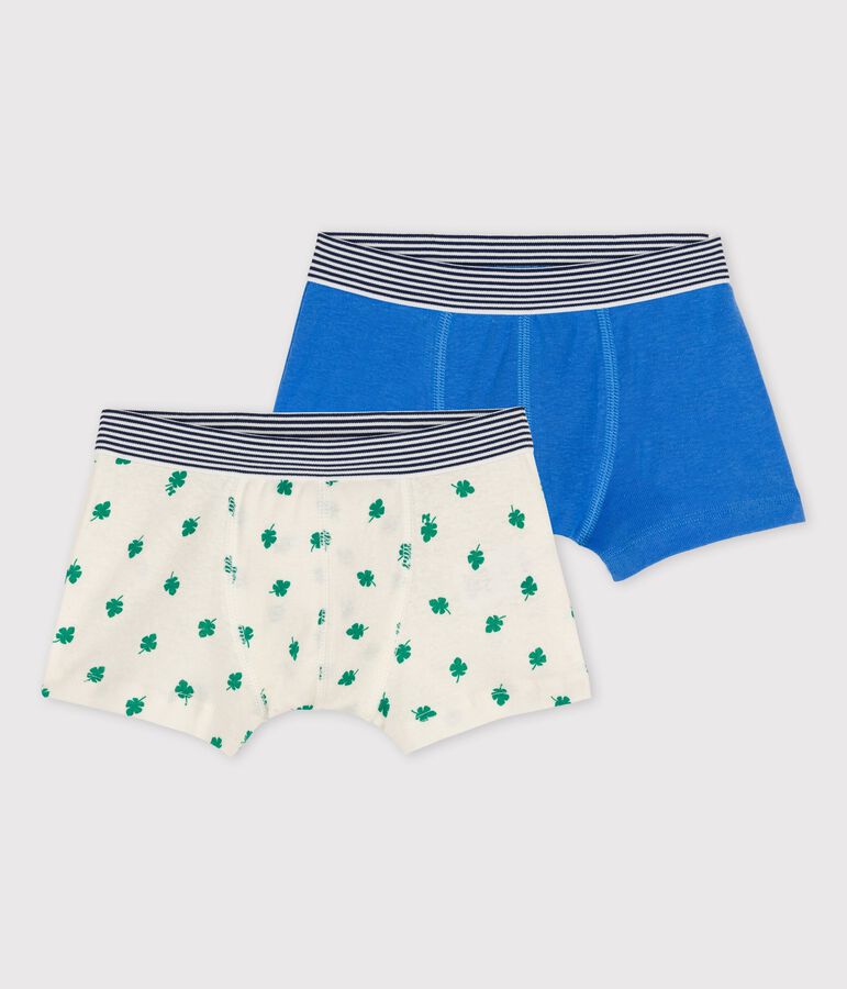 Lot de 2 boxers petit gar&ccedil;on palmes en coton et lin multicouleur