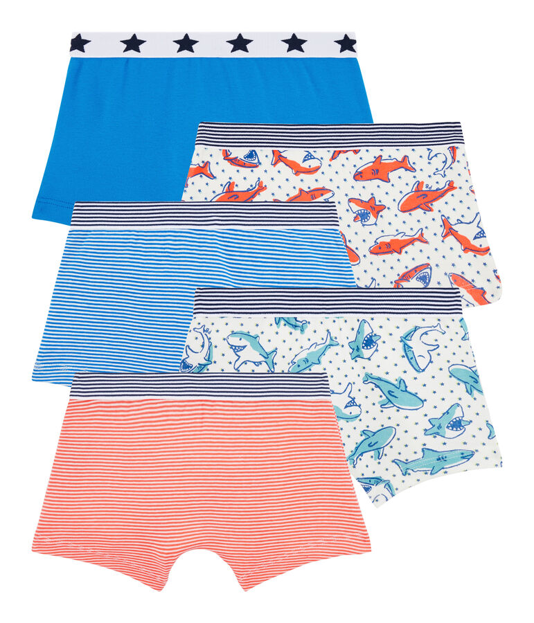 Lot de 5 boxers petit gar&ccedil;on multicouleur