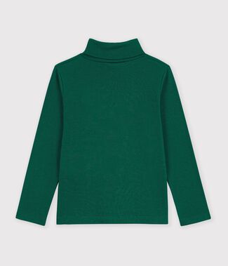 vert fonc&eacute;