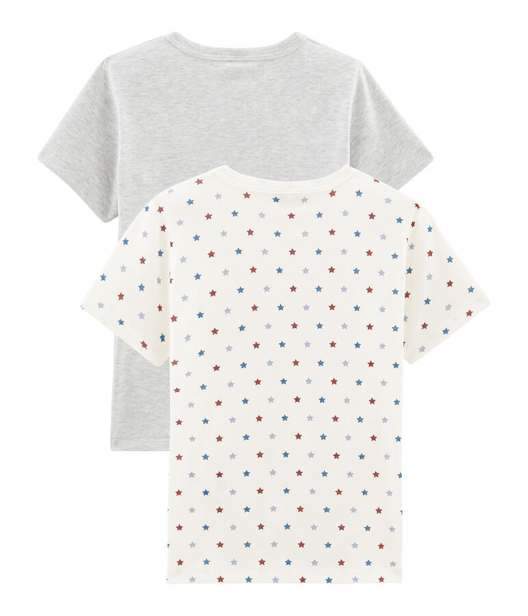 Duo de tee-shirts manches courtes petit gar&ccedil;on multicouleur