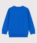 bleu DELFT