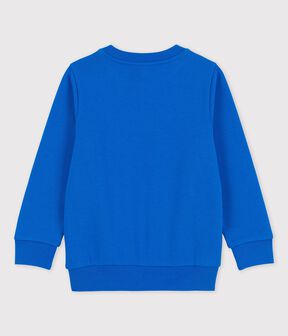 bleu DELFT
