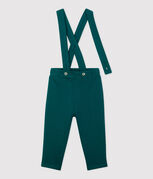 vert PINEDE