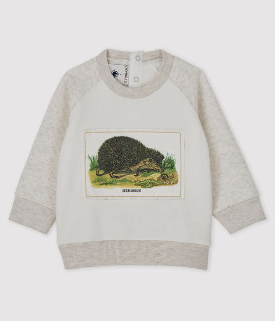 Sweatshirt bébé garçon Petit Bateau x Deyrolle blanc MARSHMALLOW/ MONTELIMAR