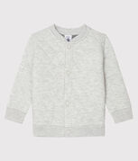 gris BELUGA
