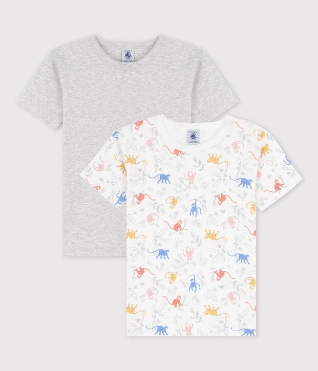 Lot de 2 t-shirts manches courtes petit gar&ccedil;on en coton biologique multicouleur