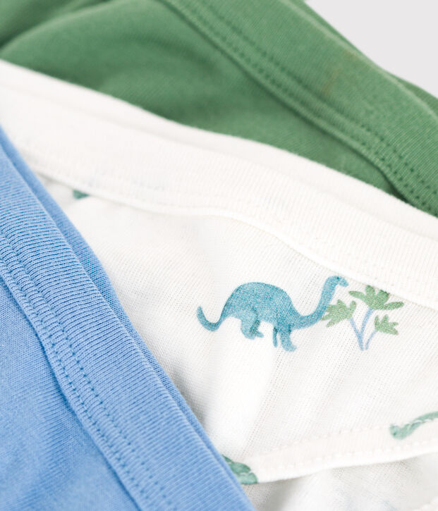 Lot de 3 slips enfant en coton imprim&eacute; dinosaures multicouleur