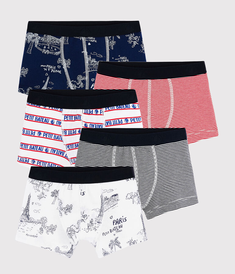 Lot de 5 toile de Jouy Paris petit gar&ccedil;on multicouleur