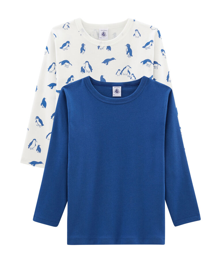 Duo de tee-shirts manches longues petit gar&ccedil;on multicouleur