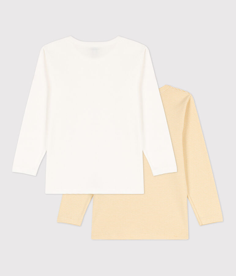 Lot de 2 tee-shirts manches longues petit gar&ccedil;on en coton multicouleur