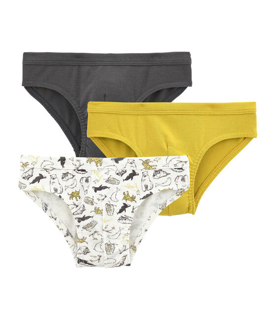 Trio de slips petit garçon Petit Bateau