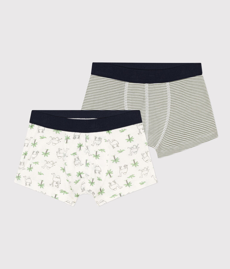 Lot de 2 boxers dromadaires en coton petit gar&ccedil;on multicouleur