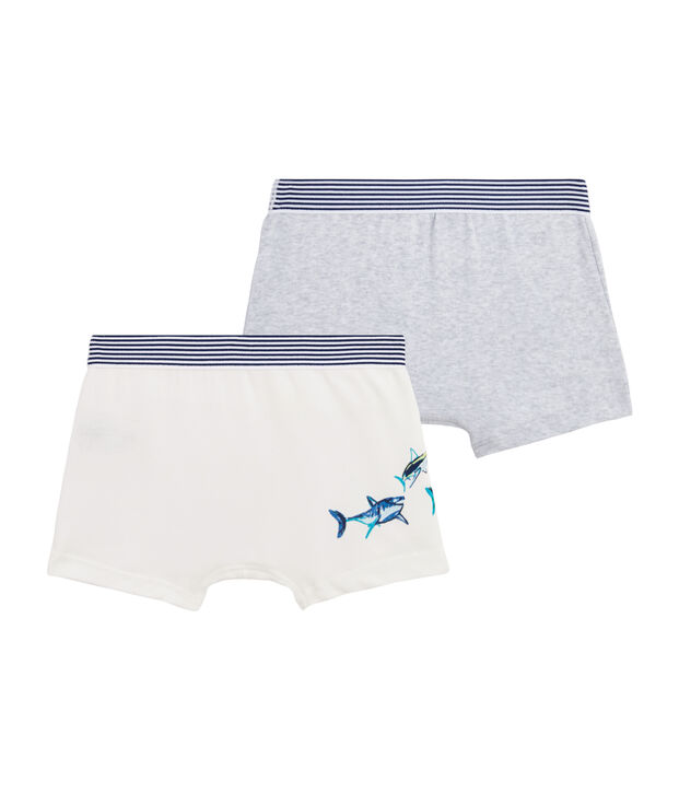 Duo de boxers petit gar&ccedil;on multicouleur