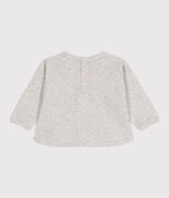 gris BELUGA CHINE