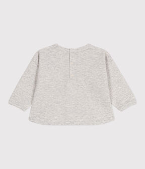 gris BELUGA CHINE