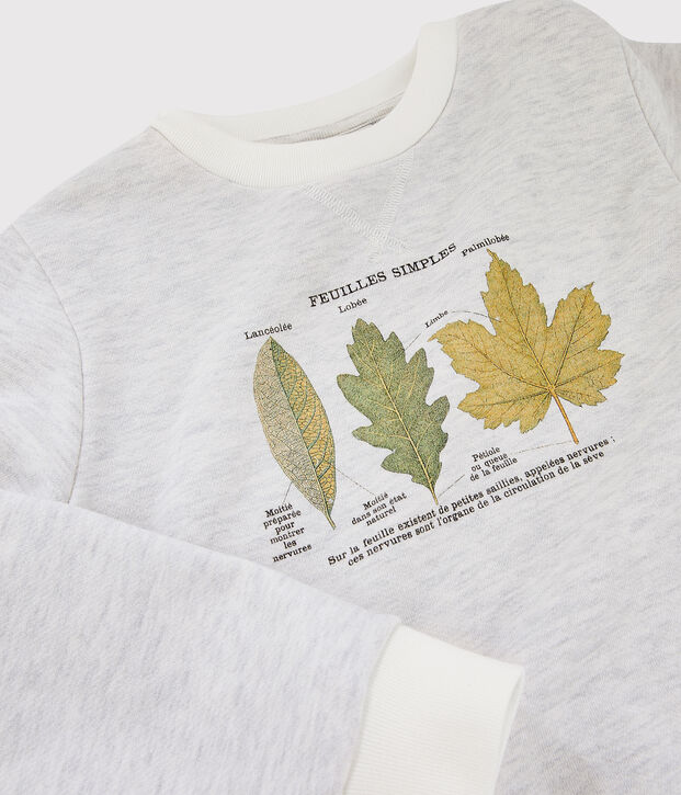 Sweatshirt enfant gar&ccedil;on Petit Bateau x Deyrolle beige chin&eacute;