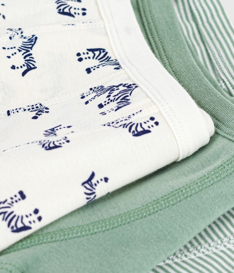 Lot de boxers enfant en coton &agrave; ceinture collet&eacute;e imprim&eacute; z&egrave;bres multicouleur