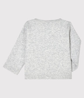 gris BELUGA CHINE