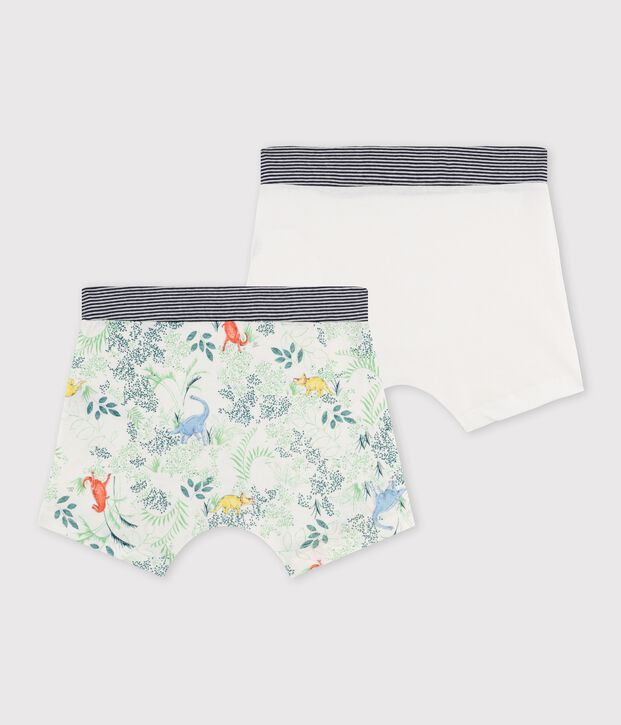 Duo de boxers petit gar&ccedil;on multicouleur