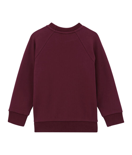 Sweat shirt enfant garçon violet OGRE