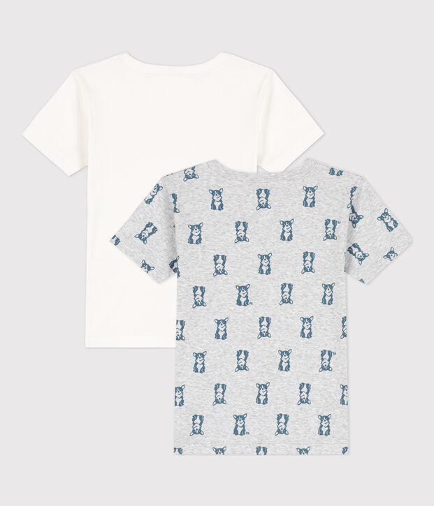 Lot de 2 tee-shirts manches courtes chien petit gar&ccedil;on en coton multicouleur