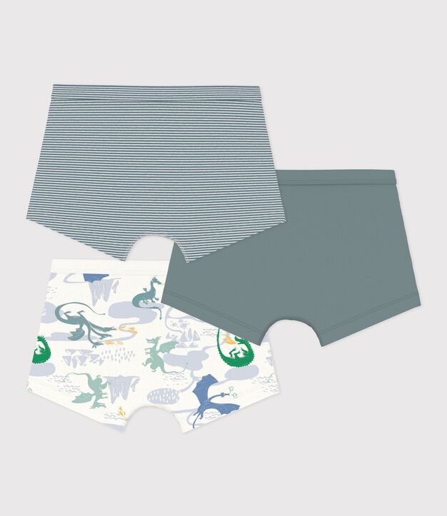 Lot de boxers ceinture collet&eacute;e enfant en coton imprim&eacute; dragons multicouleur