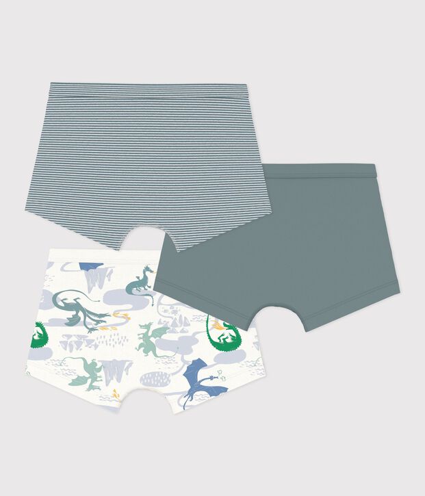 Lot de boxers ceinture collet&eacute;e enfant en coton imprim&eacute; dragons multicouleur