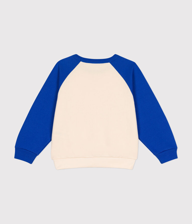 Sweatshirt en molleton enfant gar&ccedil;on AVALANCHE/ CALVIN