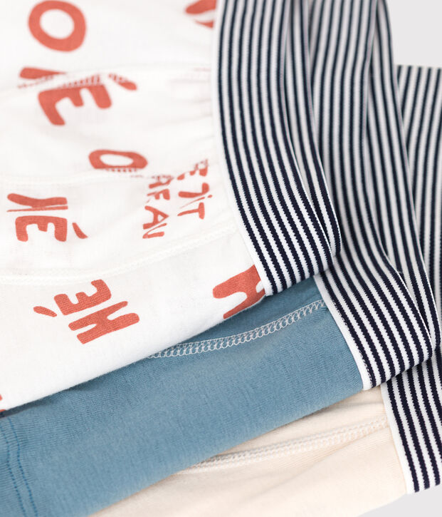 Lot de 3 boxers apetit gar&ccedil;on en coton multicouleur