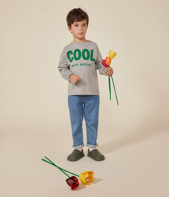 Tee-shirt manches longues en jersey fin enfant garçon gris CHATON CHINE