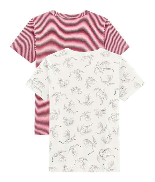 Duo de tee-shirts manches courtes petit gar&ccedil;on multicouleur