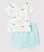 Pull Bébé Garçon Petit Bateau - 55% Laine, 45% Coton | Manches Longues, Lavable Machine
