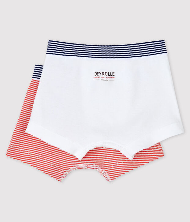 Lot de 2 boxers petit gar&ccedil;on Petit Bateau x Deyrolle multicouleur