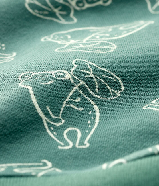 Sweatshirt en molleton brossé bébé garçon vert VALLEE/ VALLEE CLAIR